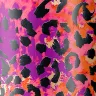Парфумований міст для тіла та Summer Fragrance  Mist KIKO MILANO модель KC000001347001B Фото